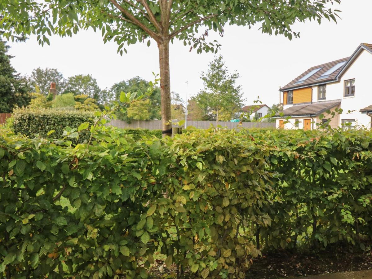 Apartment 11 Ambleside Court